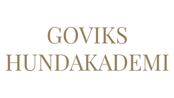 Goviks Hundakademi